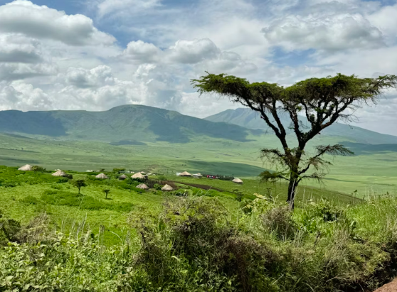 Ngorongoro Crater